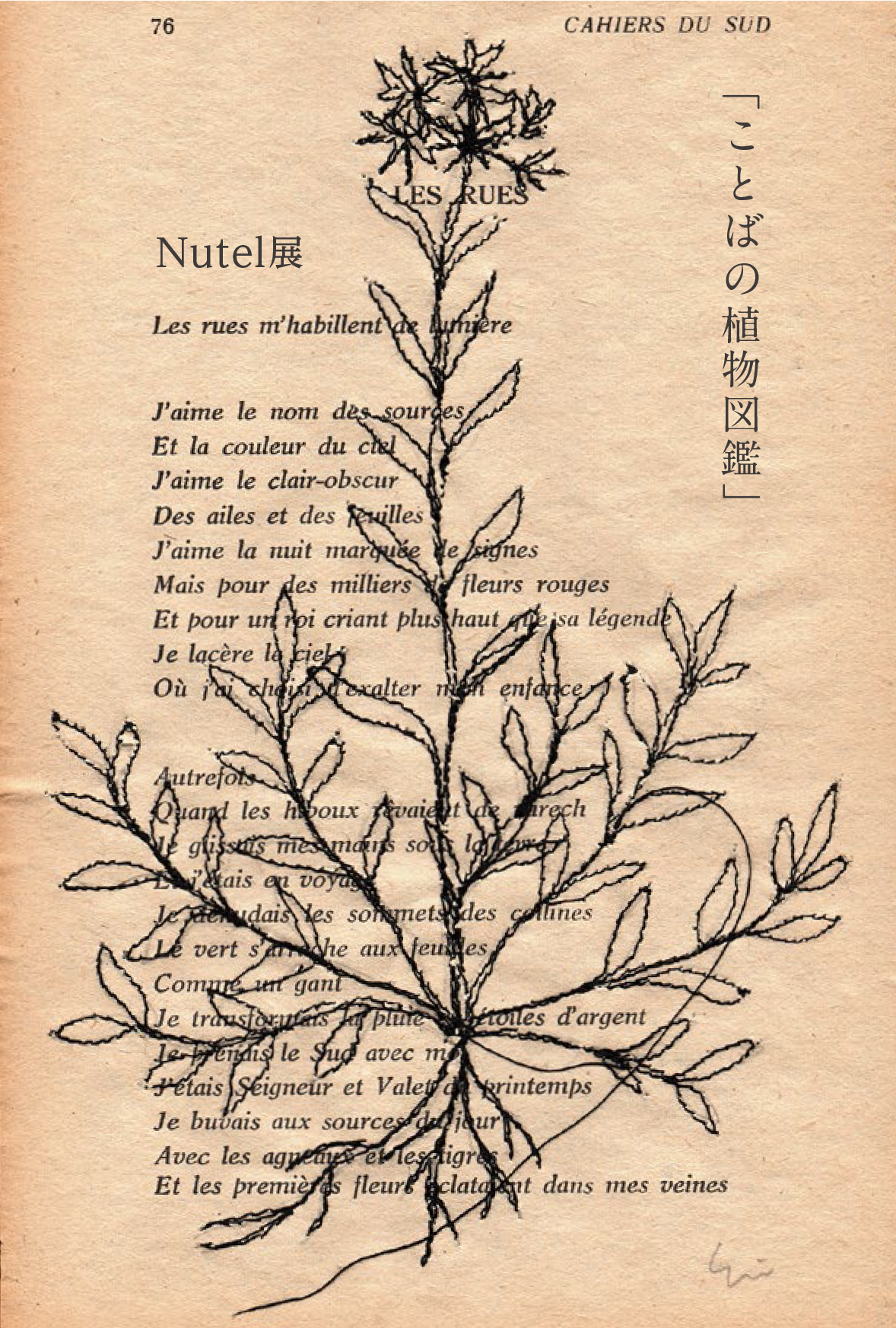 ことばの植物図鑑 Nutel展 かごしま文化情報センター Kcic